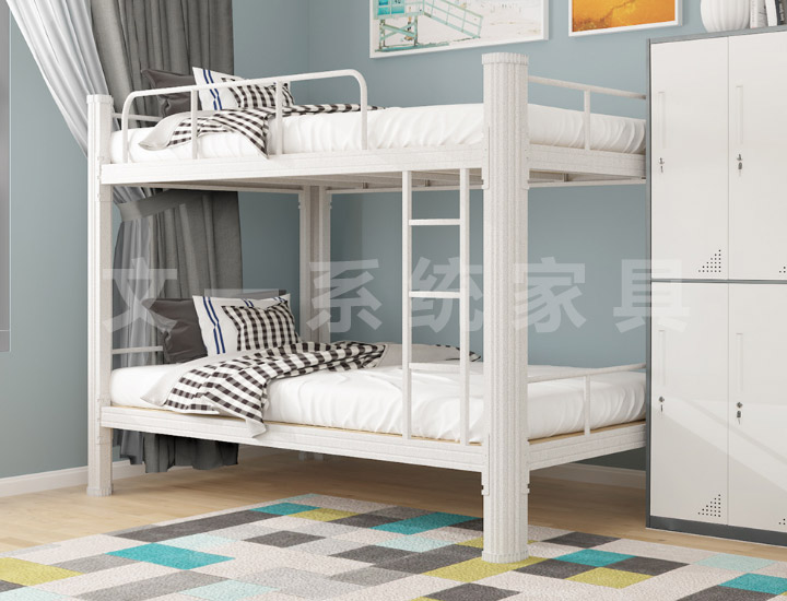 Student Bunk Apartment Bed 31